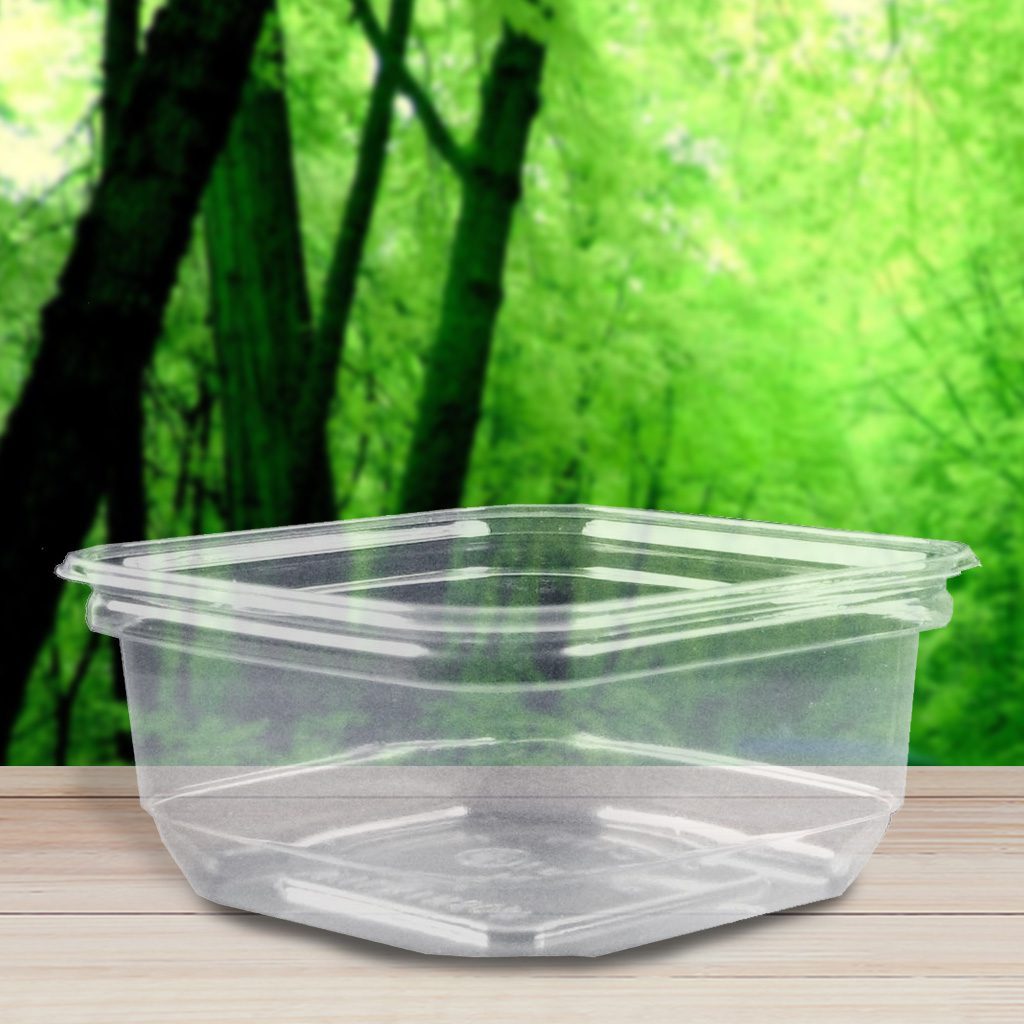 100 Pack Clear Plastic Sq.Are Hinged Food Containers, Disposable Plastic to Go