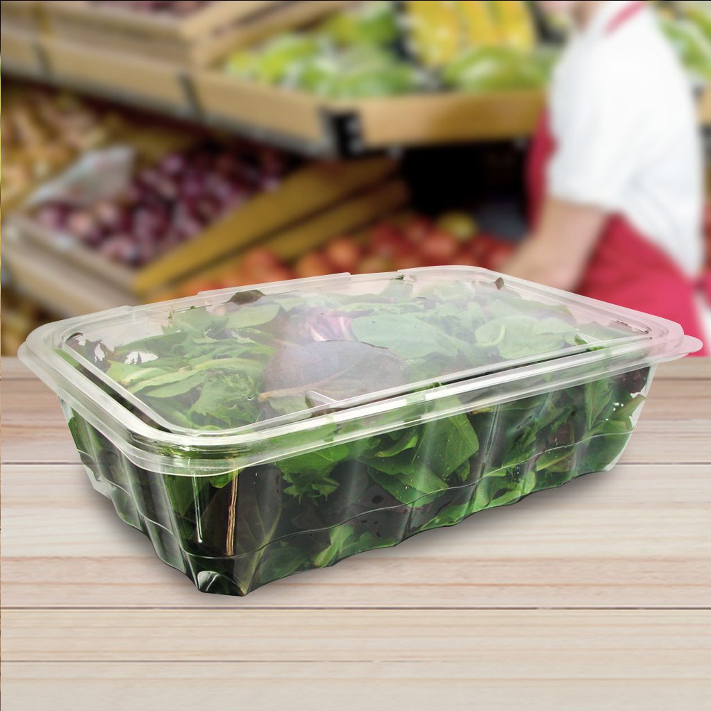 https://www.brenmarco.com/wp-content/uploads/2020/10/disposable-produce-container-260742.jpg